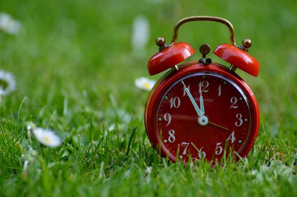 close up of red alarm clock sitting on grass